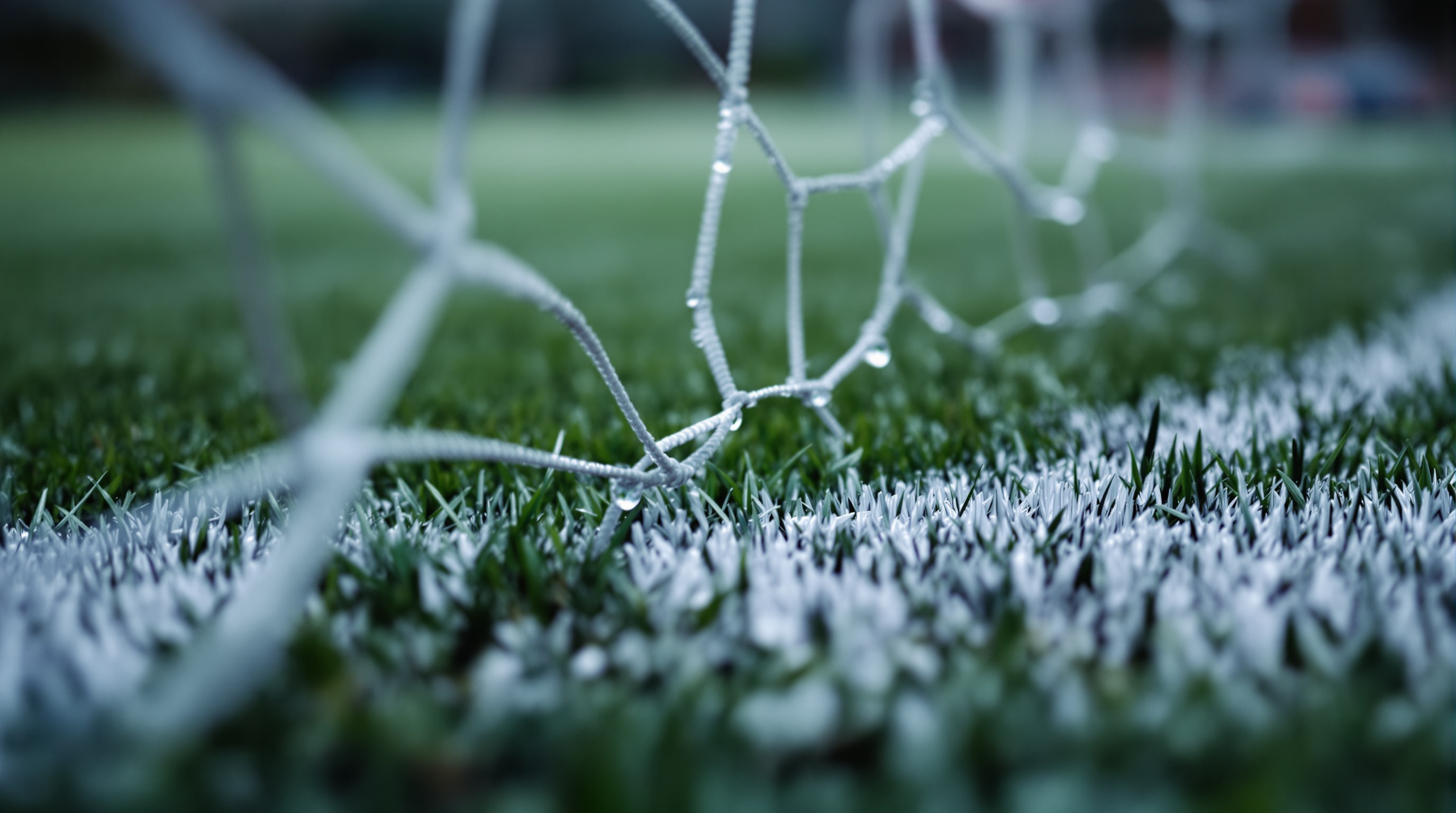 Close-up of a wet goal net and painted goal line at dusk